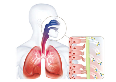 causes-respiratory1-2.jpg